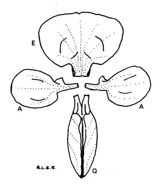 081b