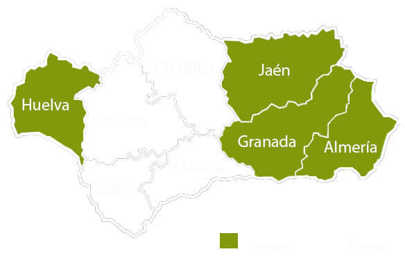 Andalucia copia