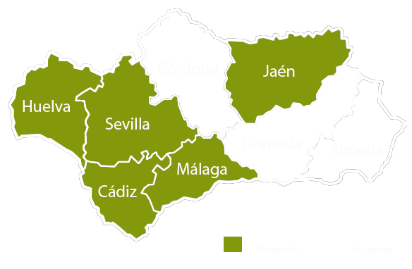 Andalucia copia