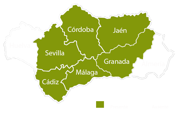 Andalucia copia