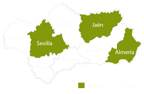 Andalucia copia