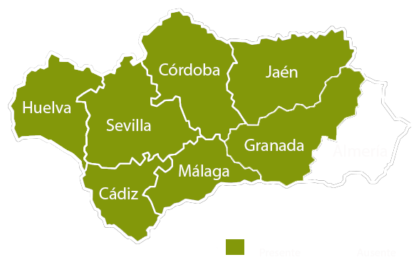 Andalucia copia